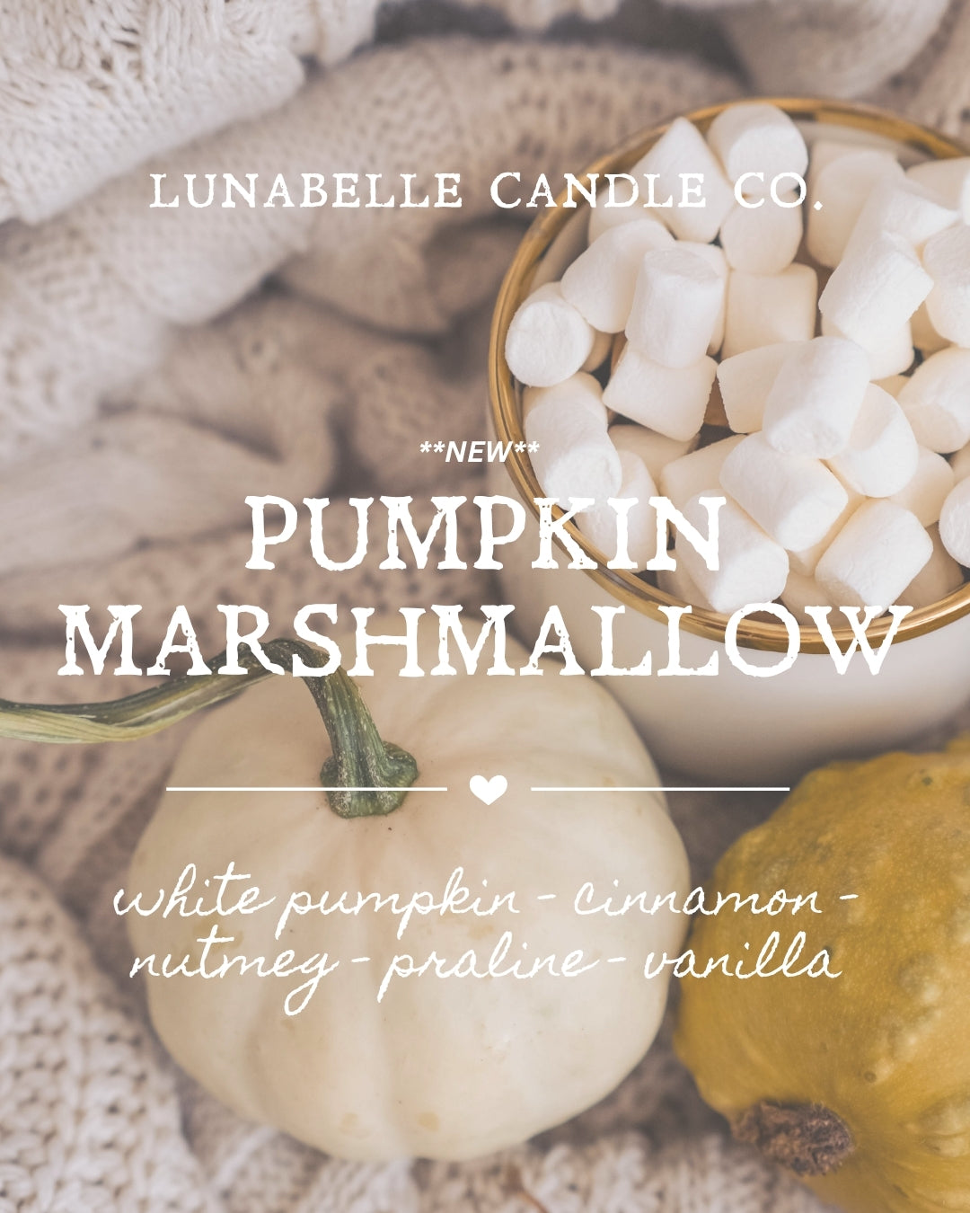 Jack O' Lantern Coconut Apricot Candle | 12 oz Halloween Candle | 2 Wick Halloween Autumn Fall Candle | Autumn Fall Decor | Fall Autumn Scents | Choose Your Scent | Choose Your Pumpkin
