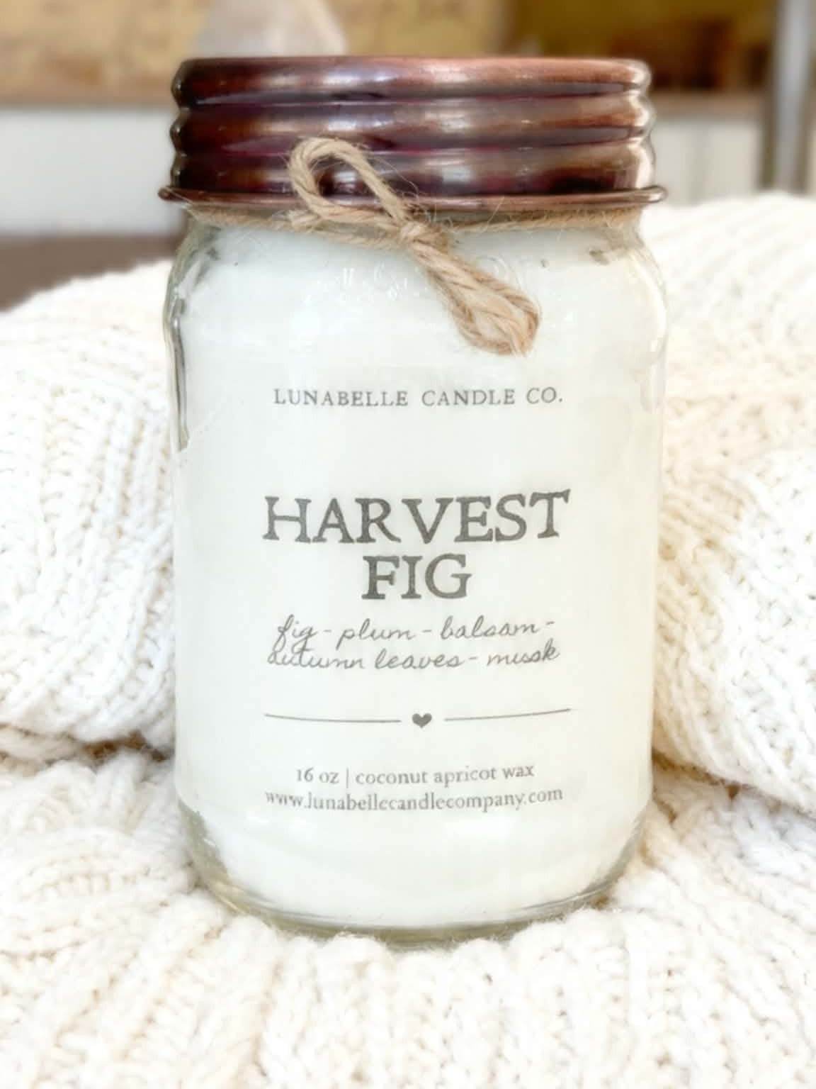 Fall Coconut Apricot Candles | 16 oz Mason Jar Candle | Farmhouse Autumn Scent | Hand Poured | Choose Your Scent