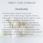 Fall Coconut Apricot Candles | 16 oz Mason Jar Candle | Farmhouse Autumn Scent | Hand Poured | Choose Your Scent